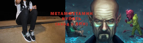 прущие грибы Верхний Тагил